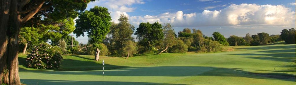 Newcastle Golf Courses